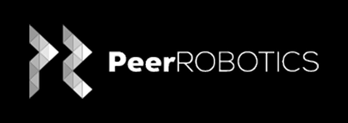 logo Peer